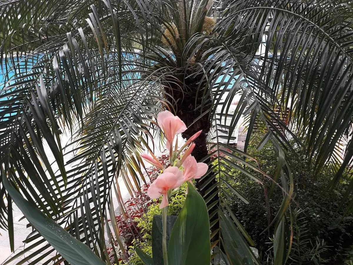 Millionaire Tropical Paradise Penthouse Royal Palm Manila Apartamento