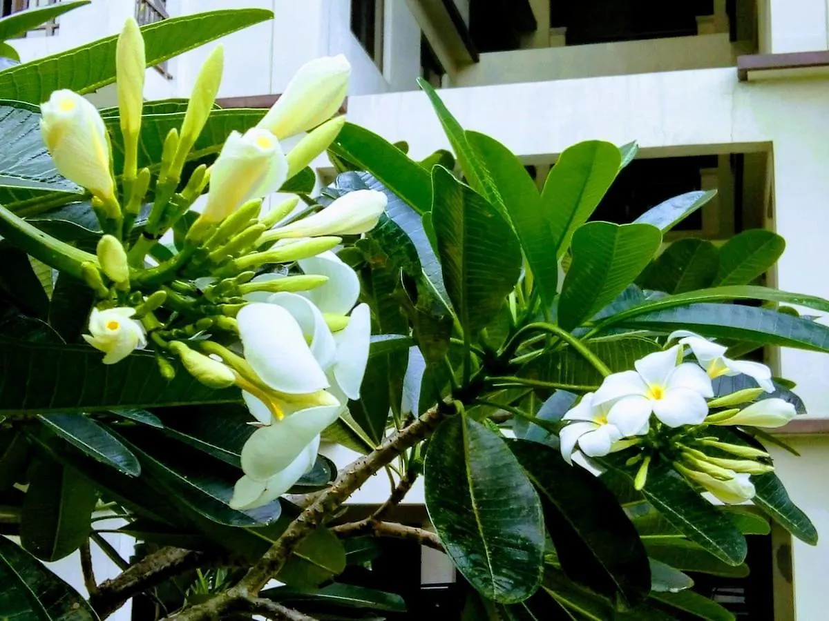 Apartamento Millionaire Tropical Paradise Penthouse Royal Palm Manila Filipinas